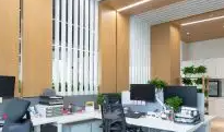 为什么选择91香蕉视频在线播放公司进行网络营销和形象宣传？