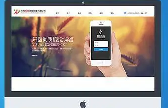 选择上海91香蕉APP污下载，让你的企业官网更具品牌力和影响力